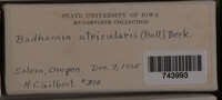 Image Associated With the Occurence